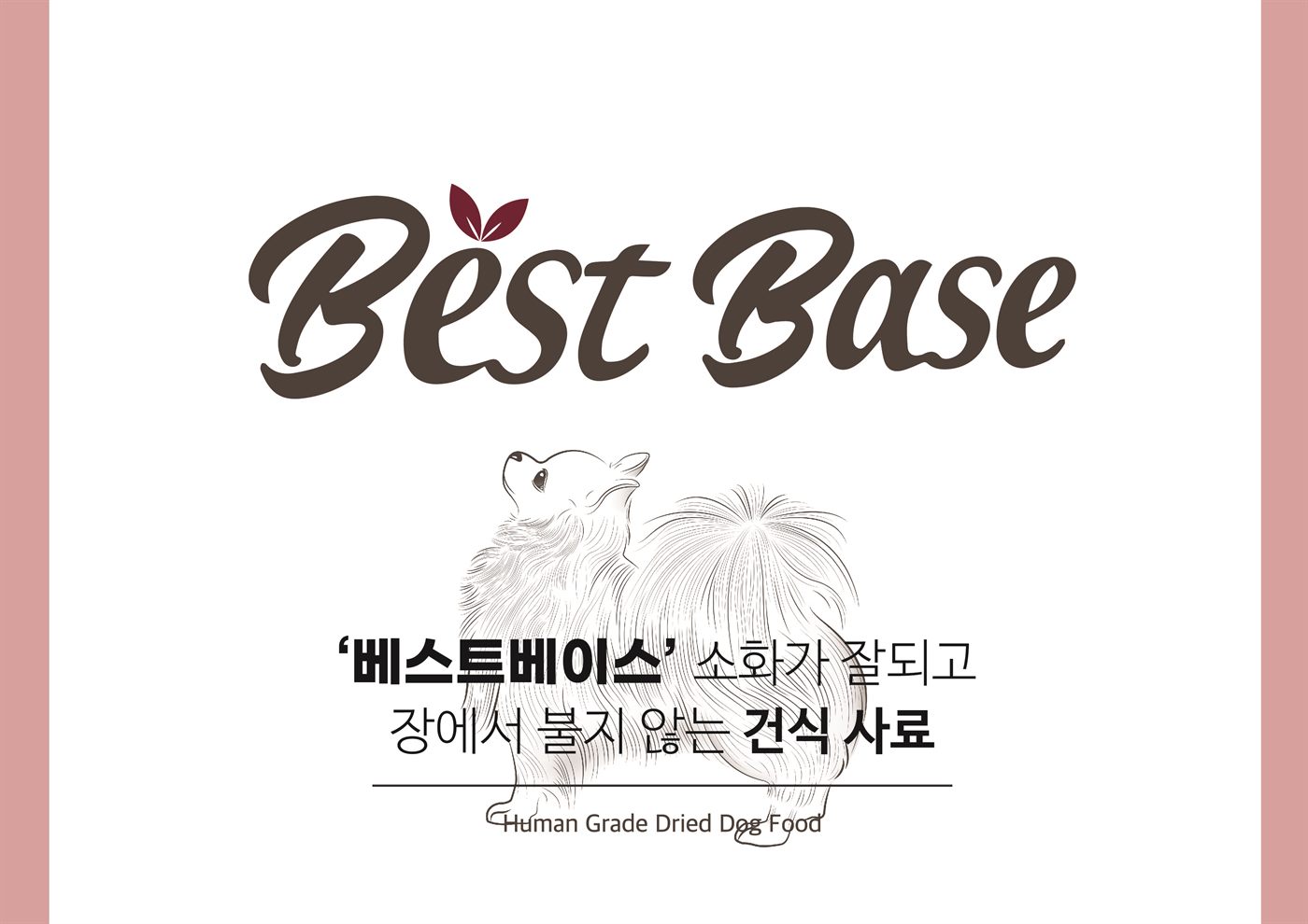 베스트베이스 — 건식 사료