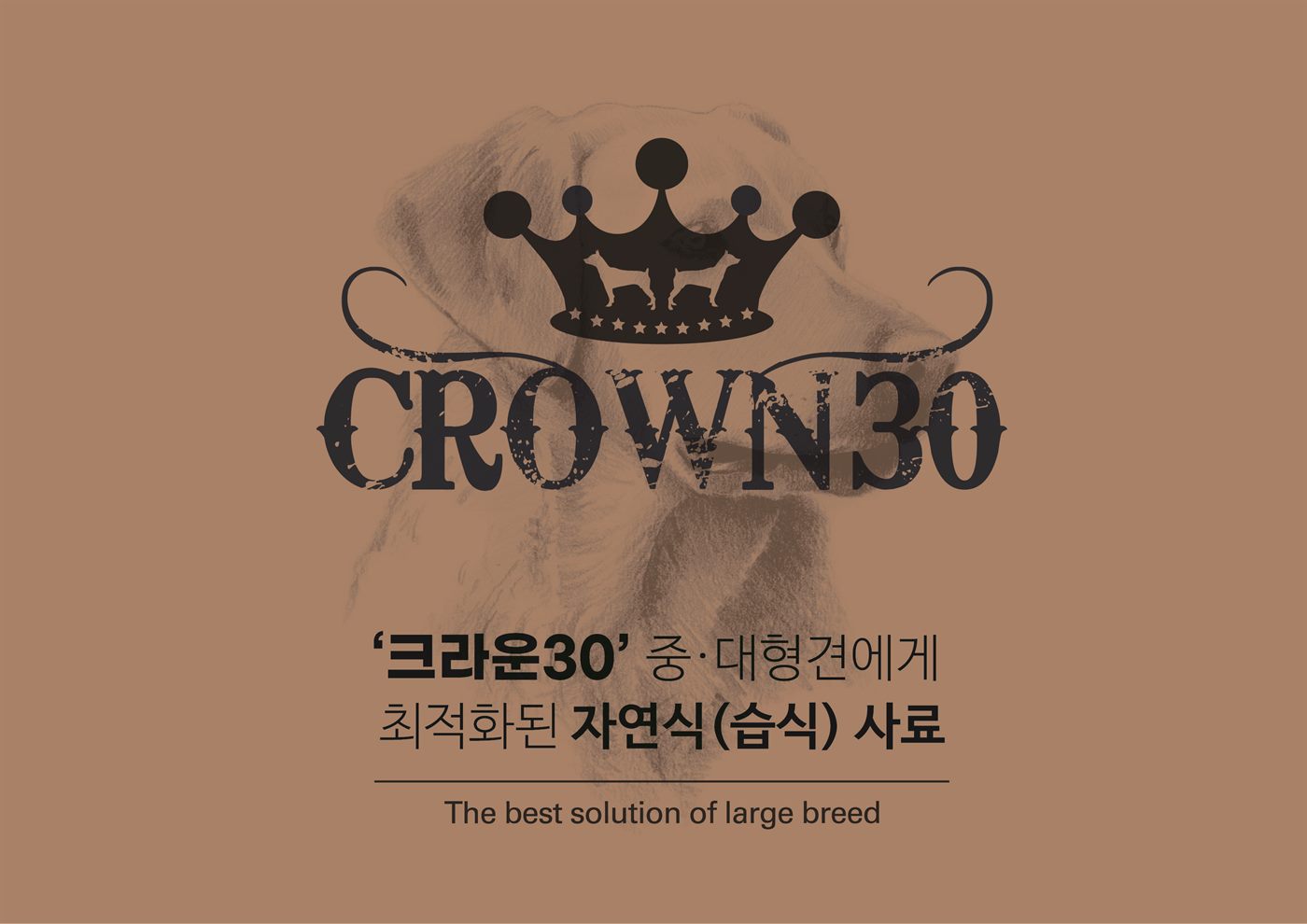 크라운30 배너